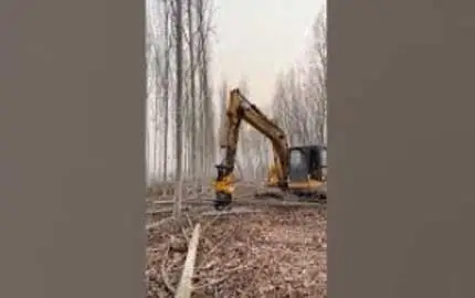 Землечерпалки Грейфер Видел